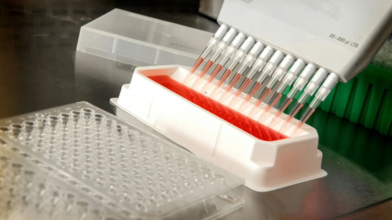 A multichannel pipette over a sample plate