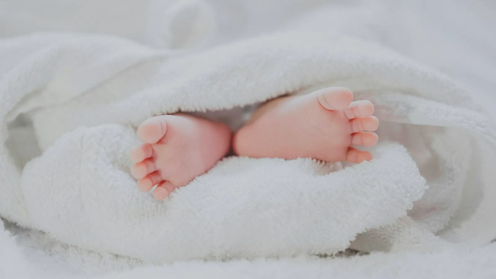 A newborn baby's feet under a white blanket