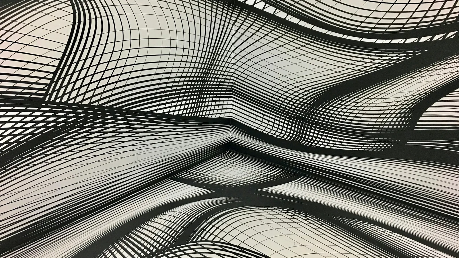 A pattern of black wavy lines forming curved surfaces