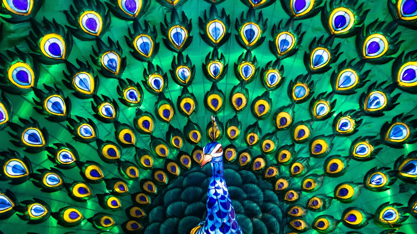 A peacock fanning its tail of green and blue eyespots