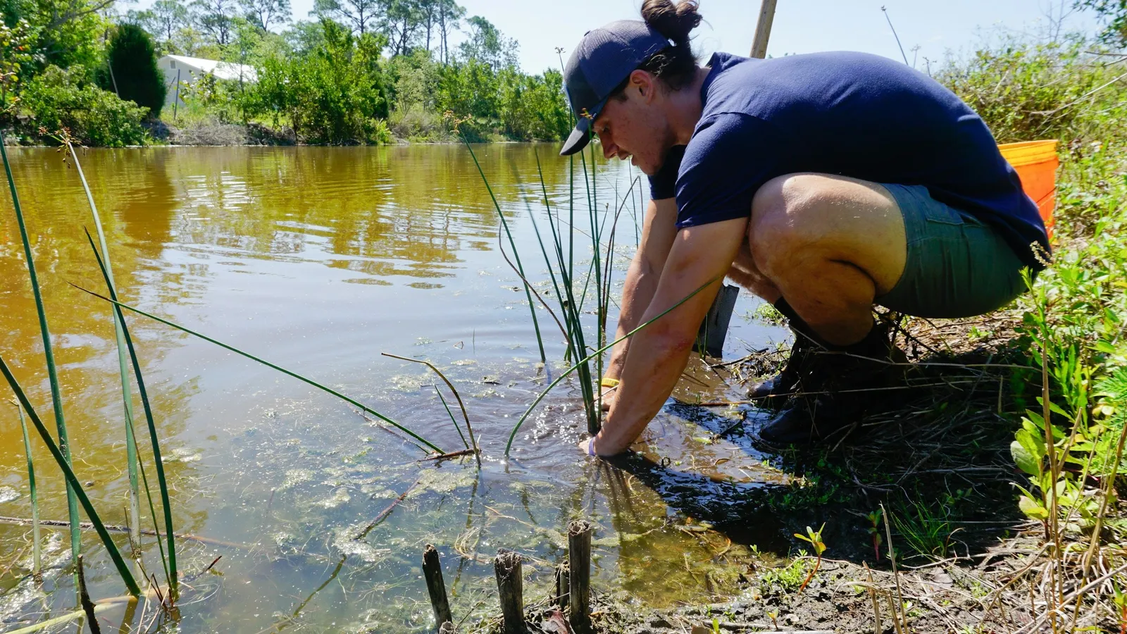 A person crouching at a pond edge to collect a water sample