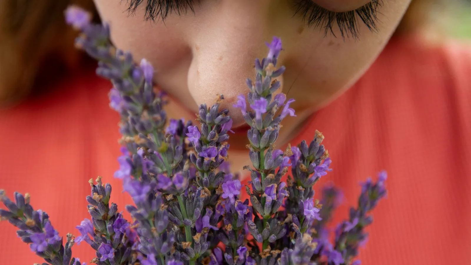 A person smelling a bunch of lavender