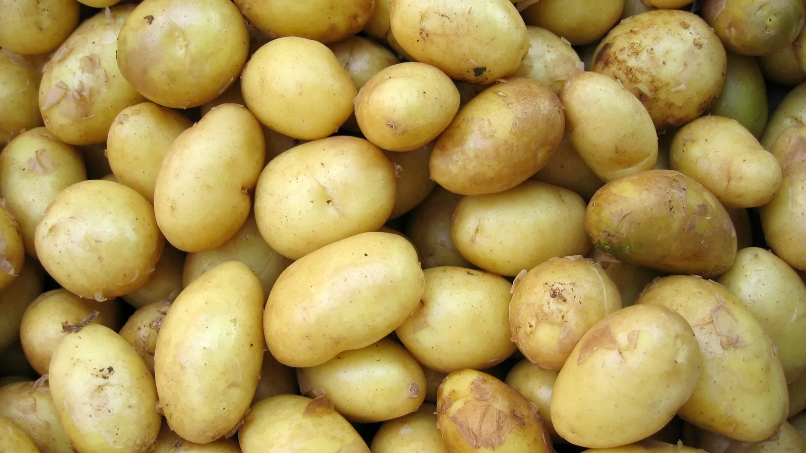 A pile of fresh potatoes