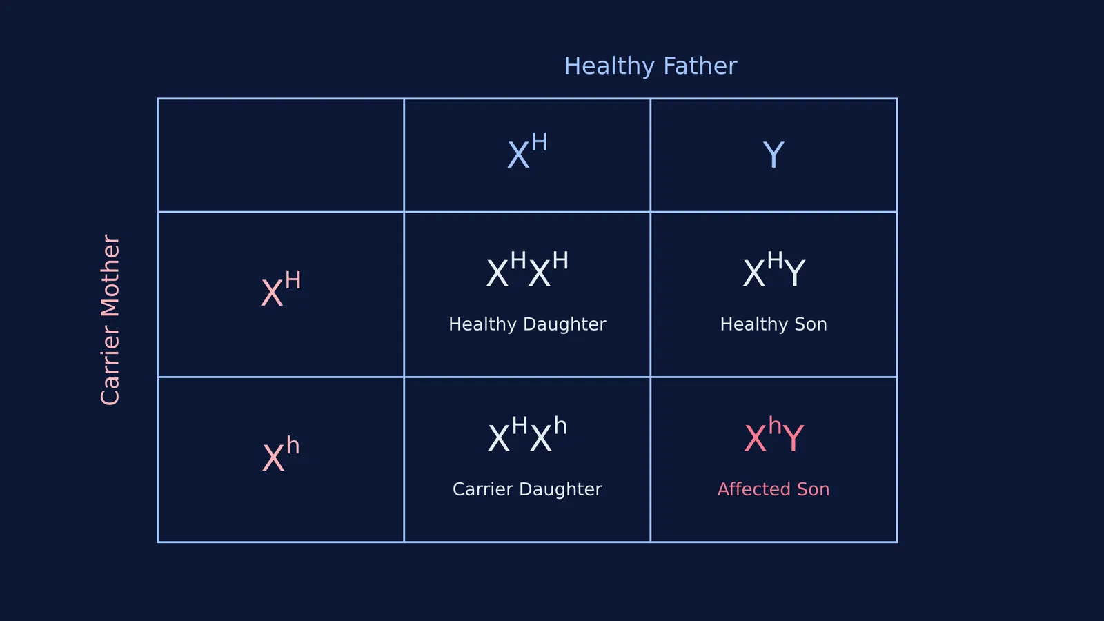 A Punnett square mapping a cross between a carrier mother and healthy father