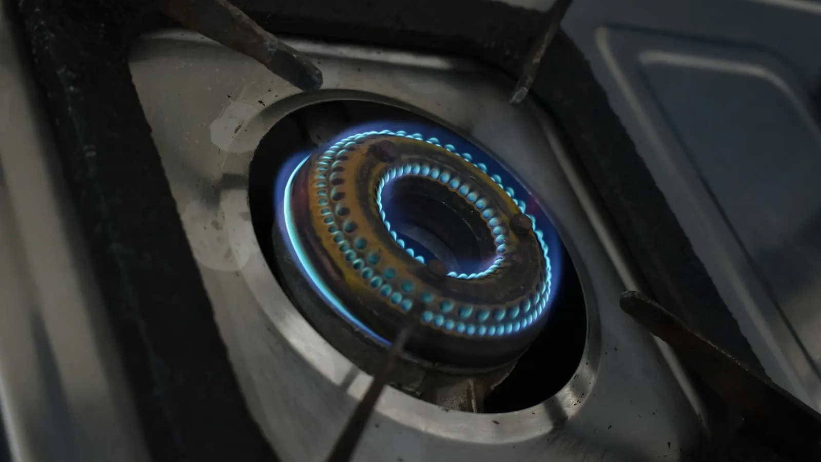 A ring of blue gas flame on a stove burner