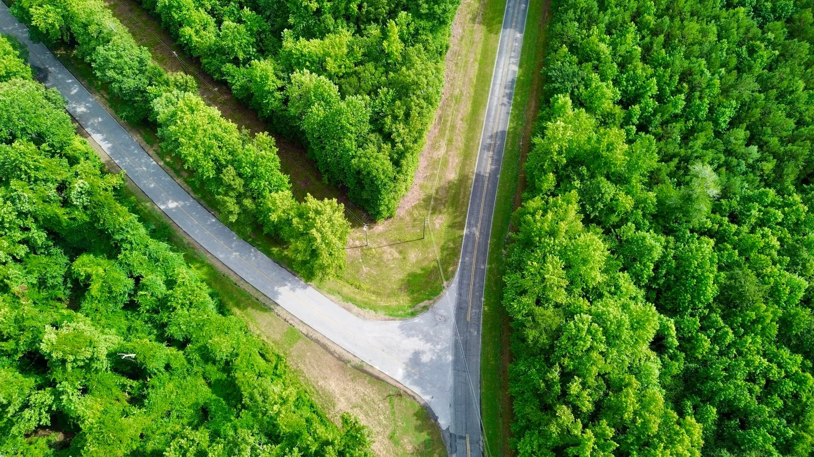 A road splitting into two paths through a green forest, seen from above