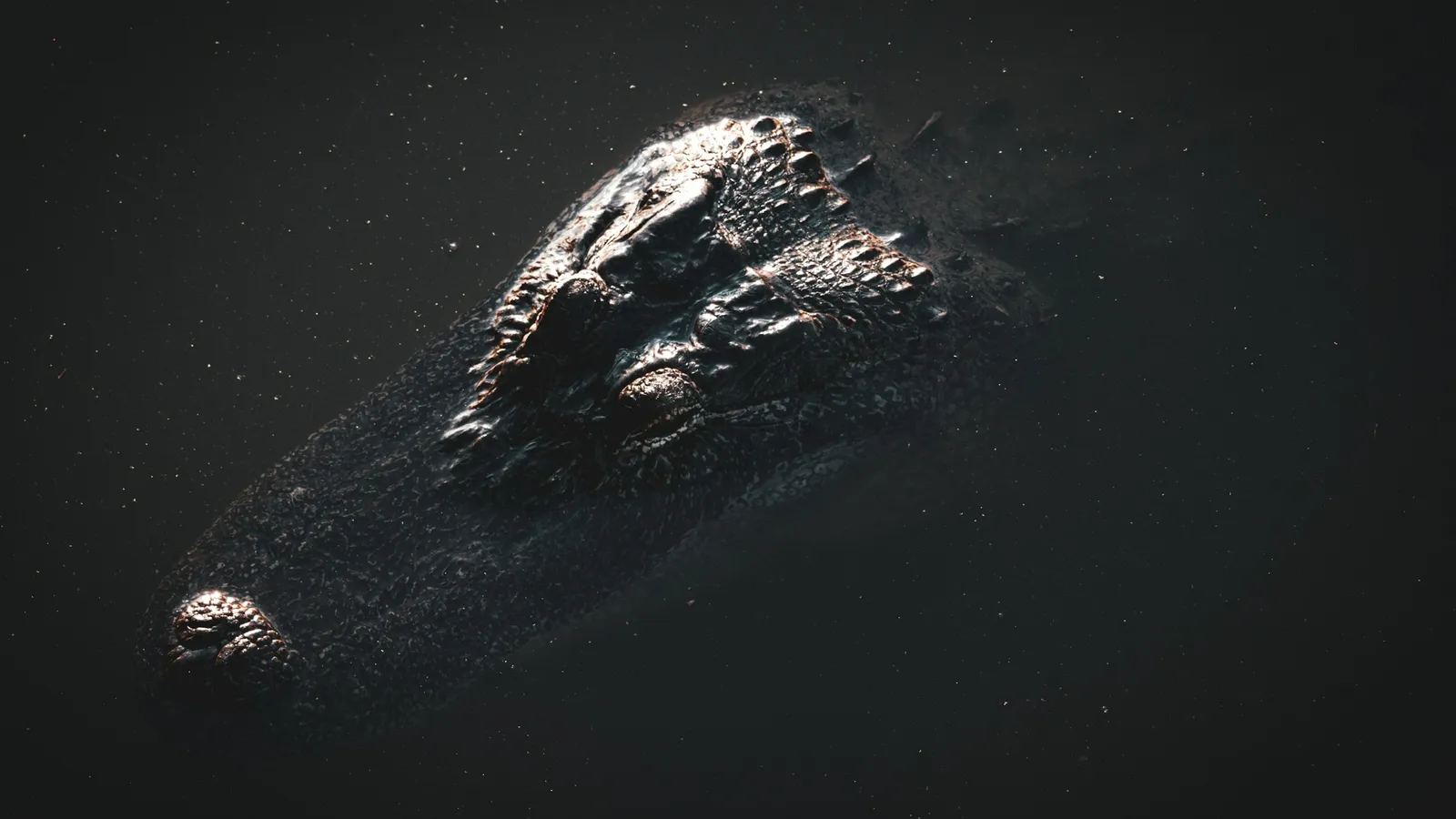 A rocky asteroid against black space