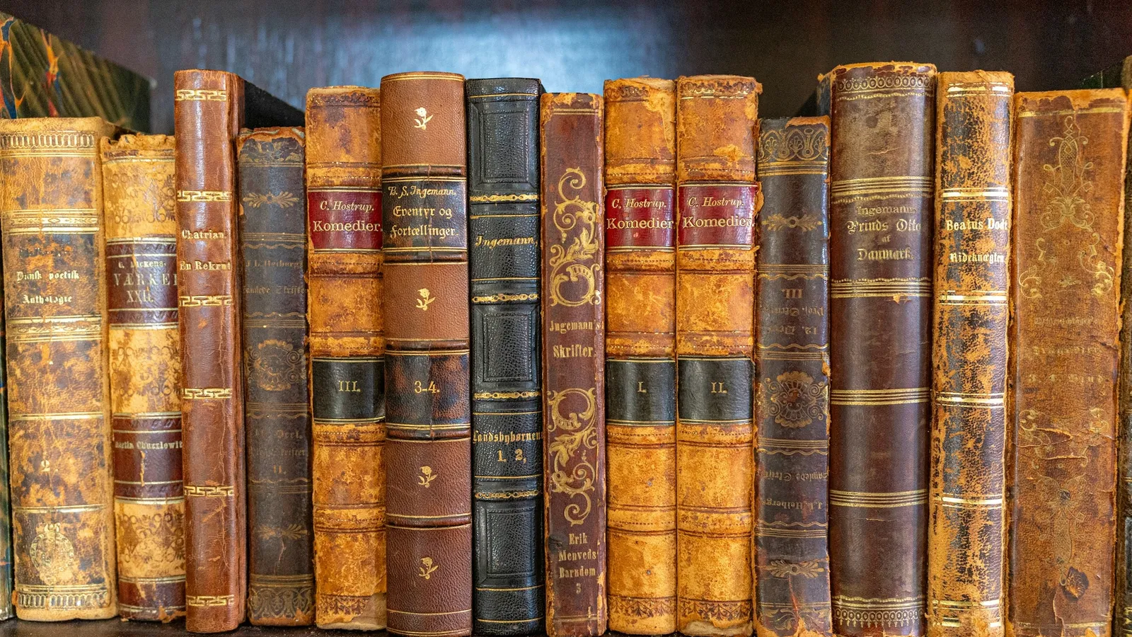 A row of old leather-bound books on a shelf