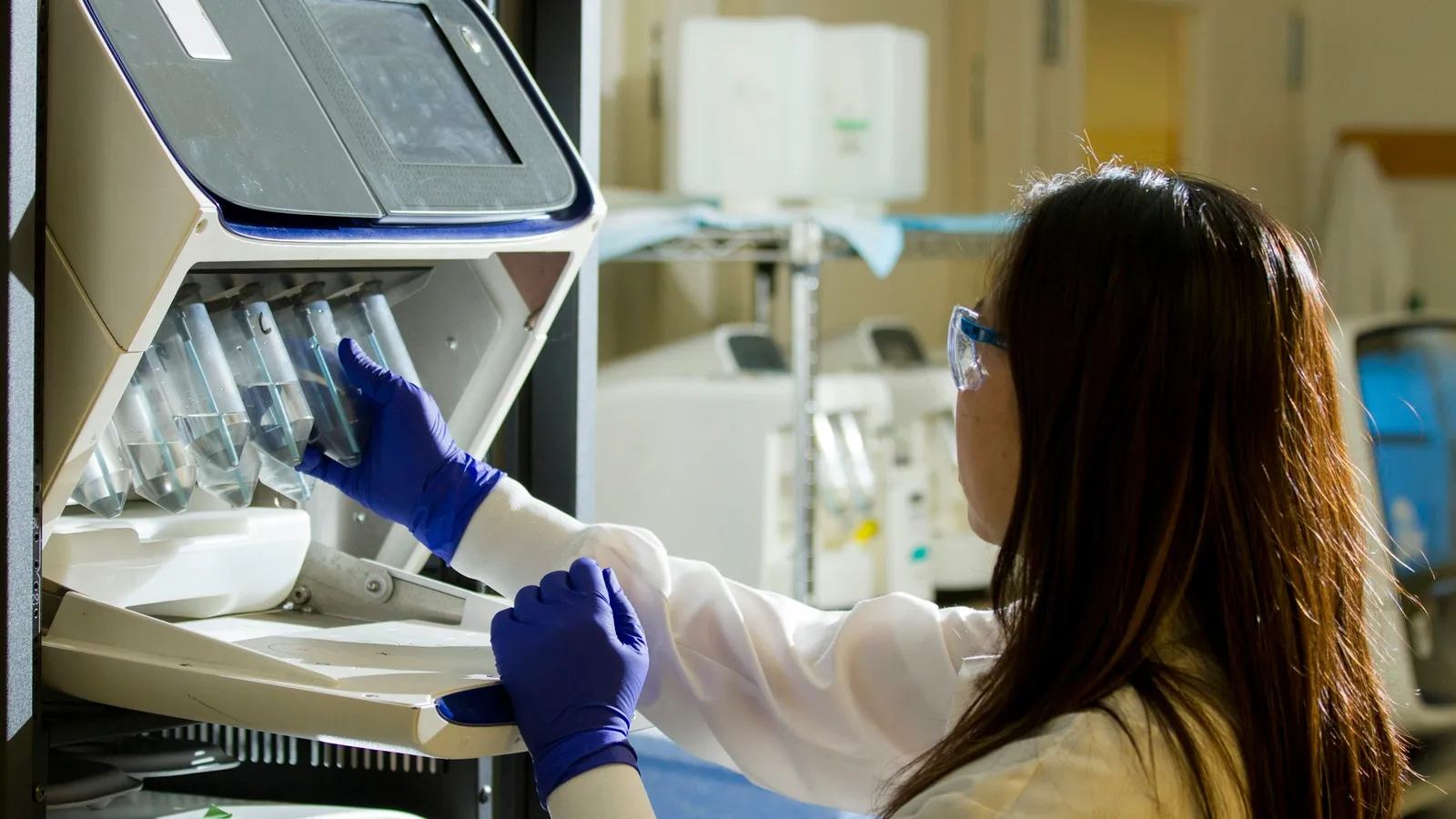 A scientist working at a lab safety cabinet