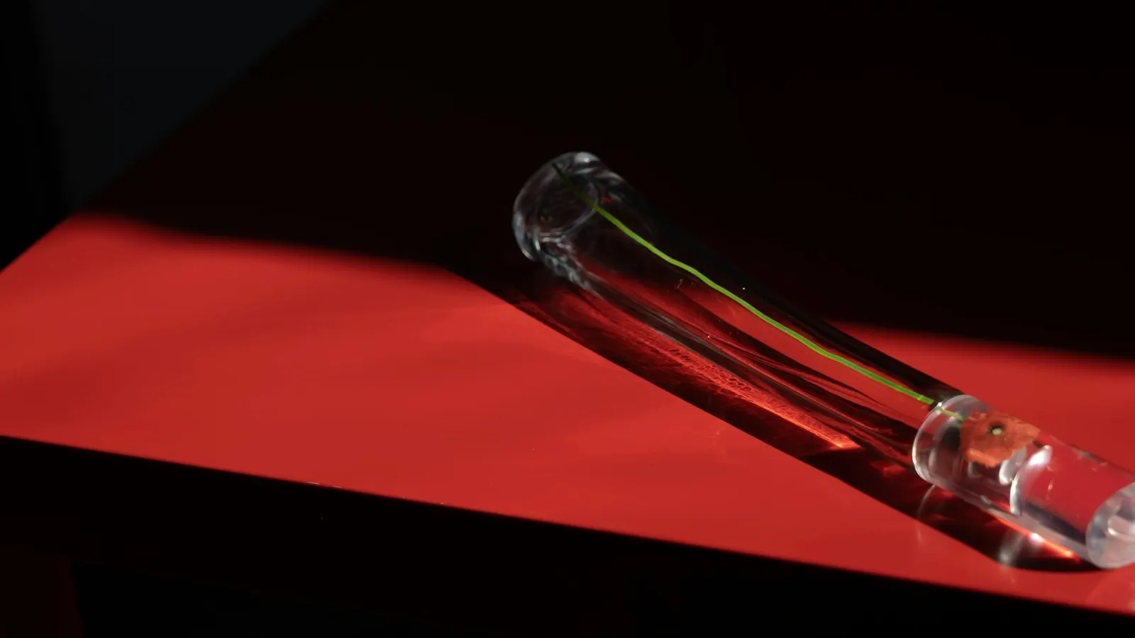 A sealed glass tube lying on a red surface