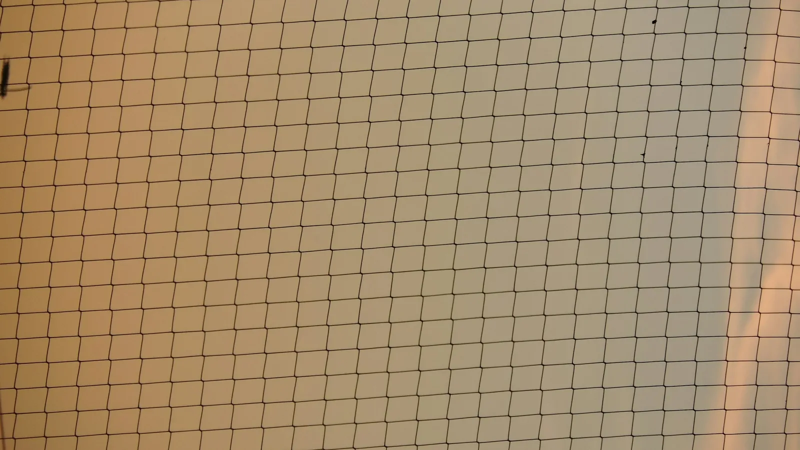 A sheet of square grid paper in warm light