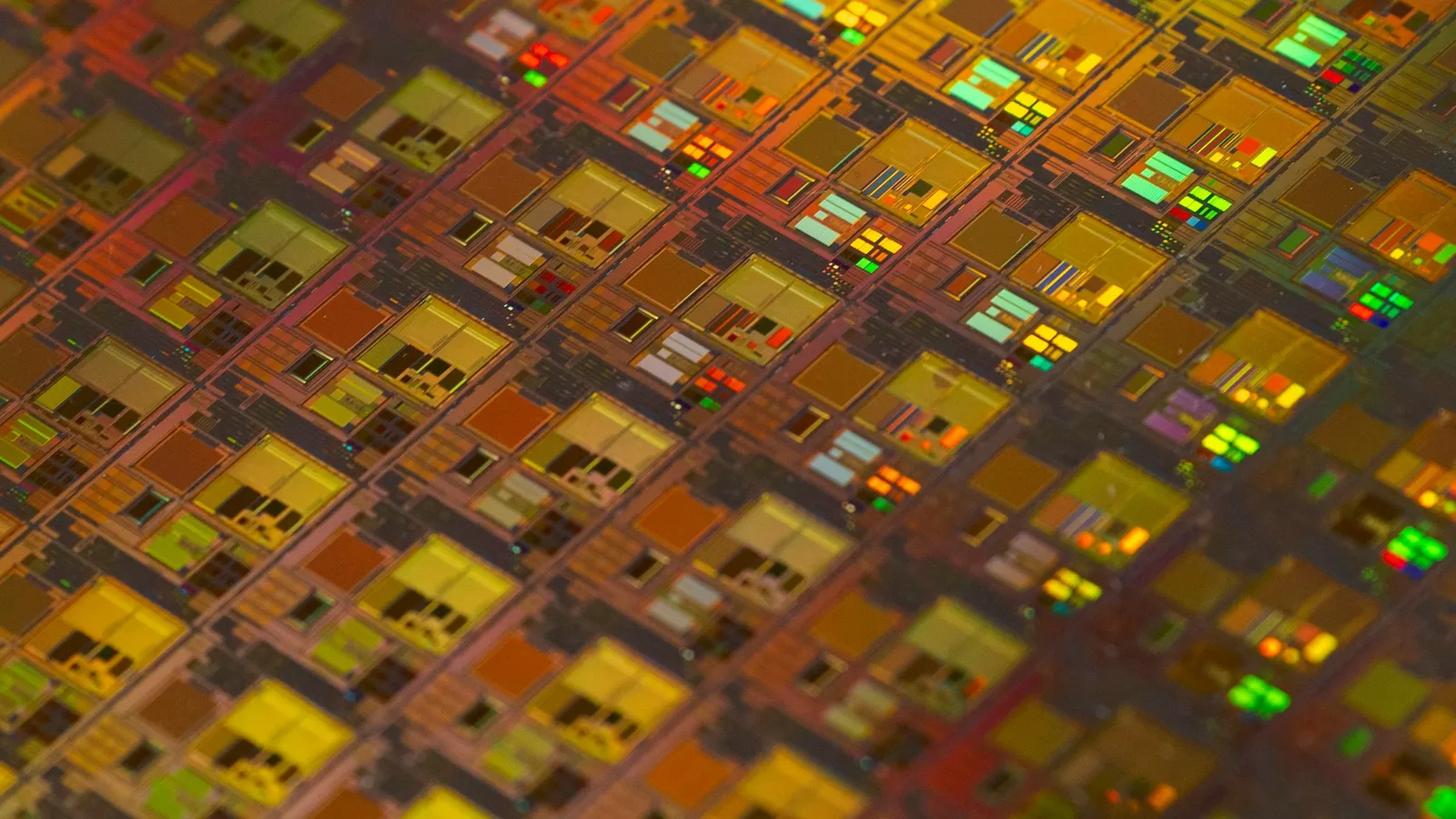 A silicon wafer covered in rows of chips