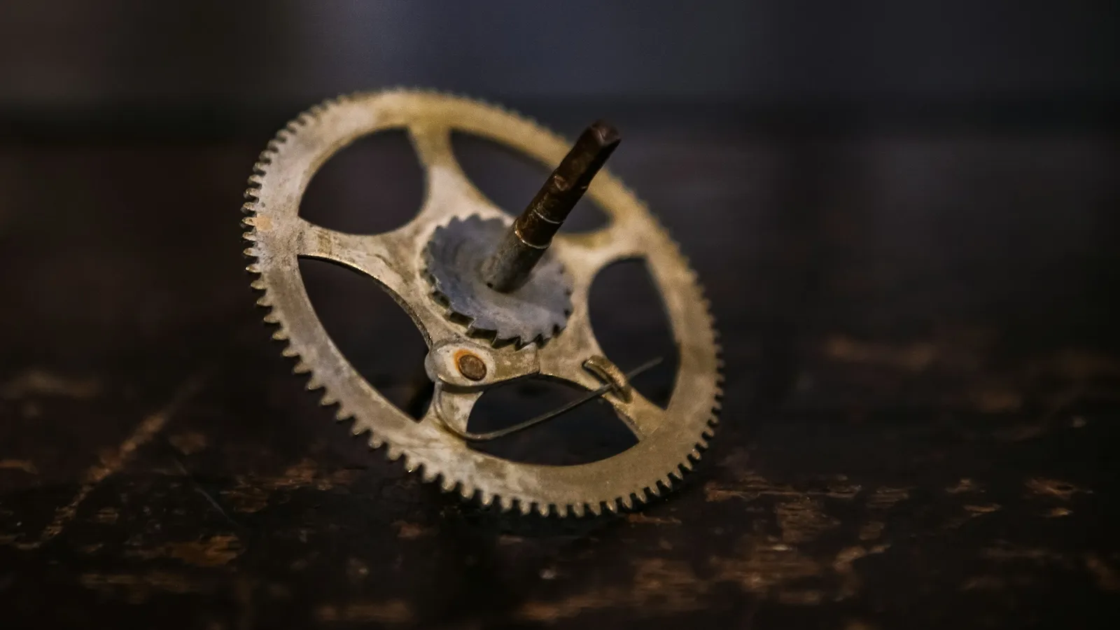 A single toothed gear wheel lit against a dark background