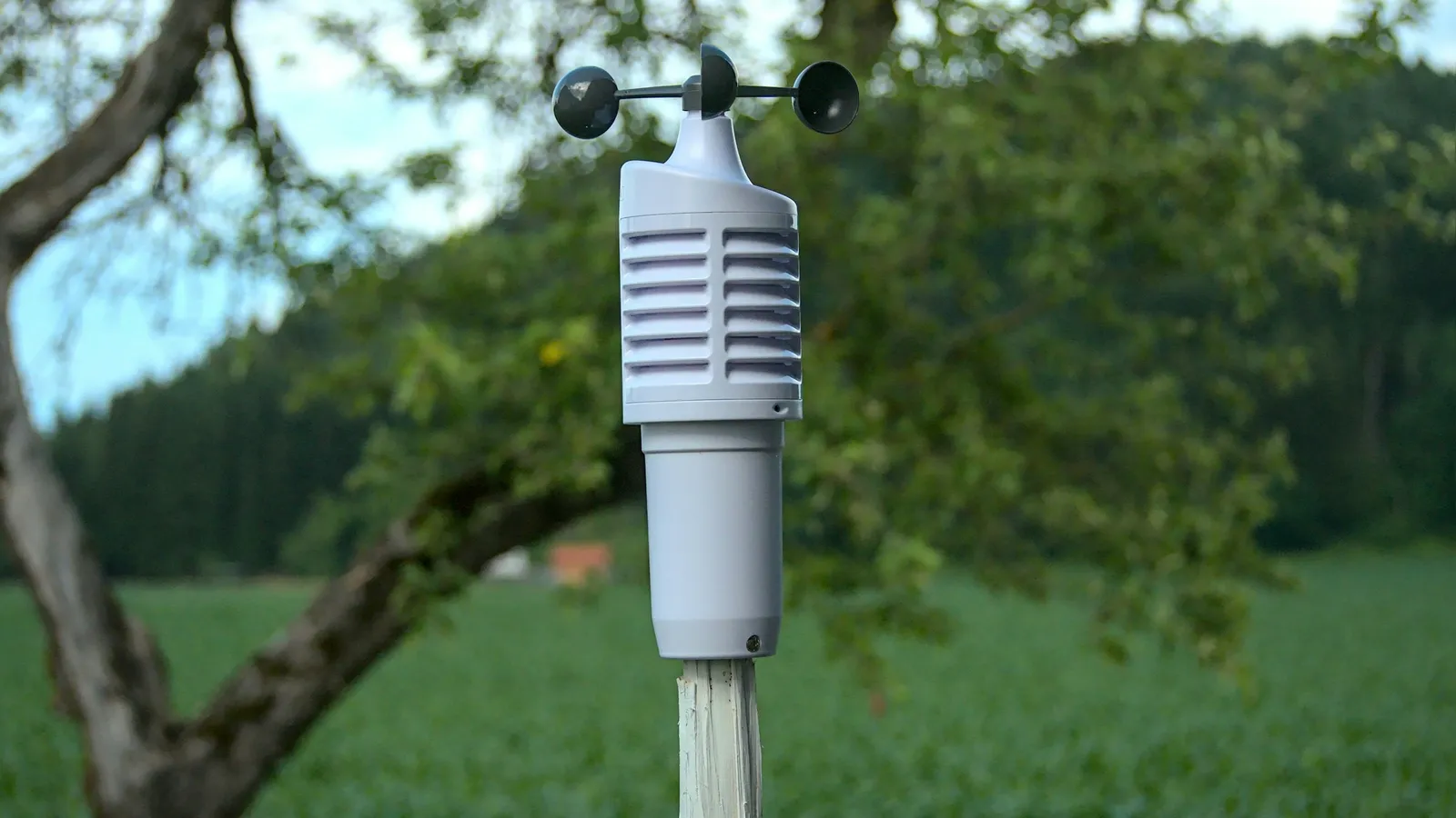 A small weather station with a sensor housing and wind gauge in a green field