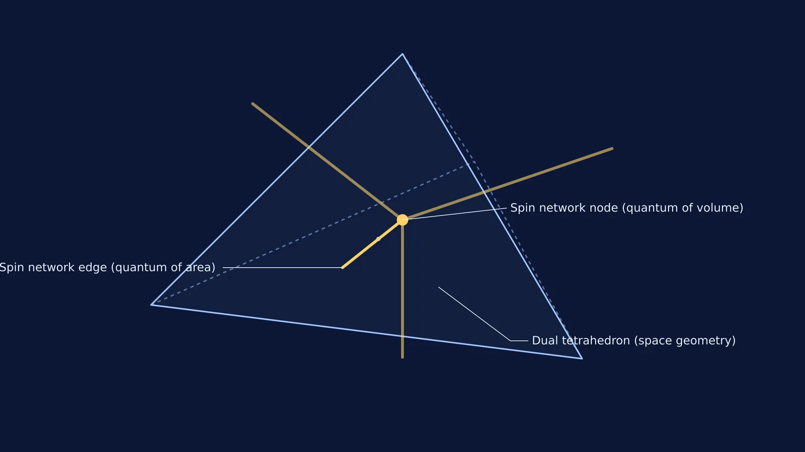 A spin network node dual to a tetrahedron, representing quantised volume and area in loop quantum gravity.