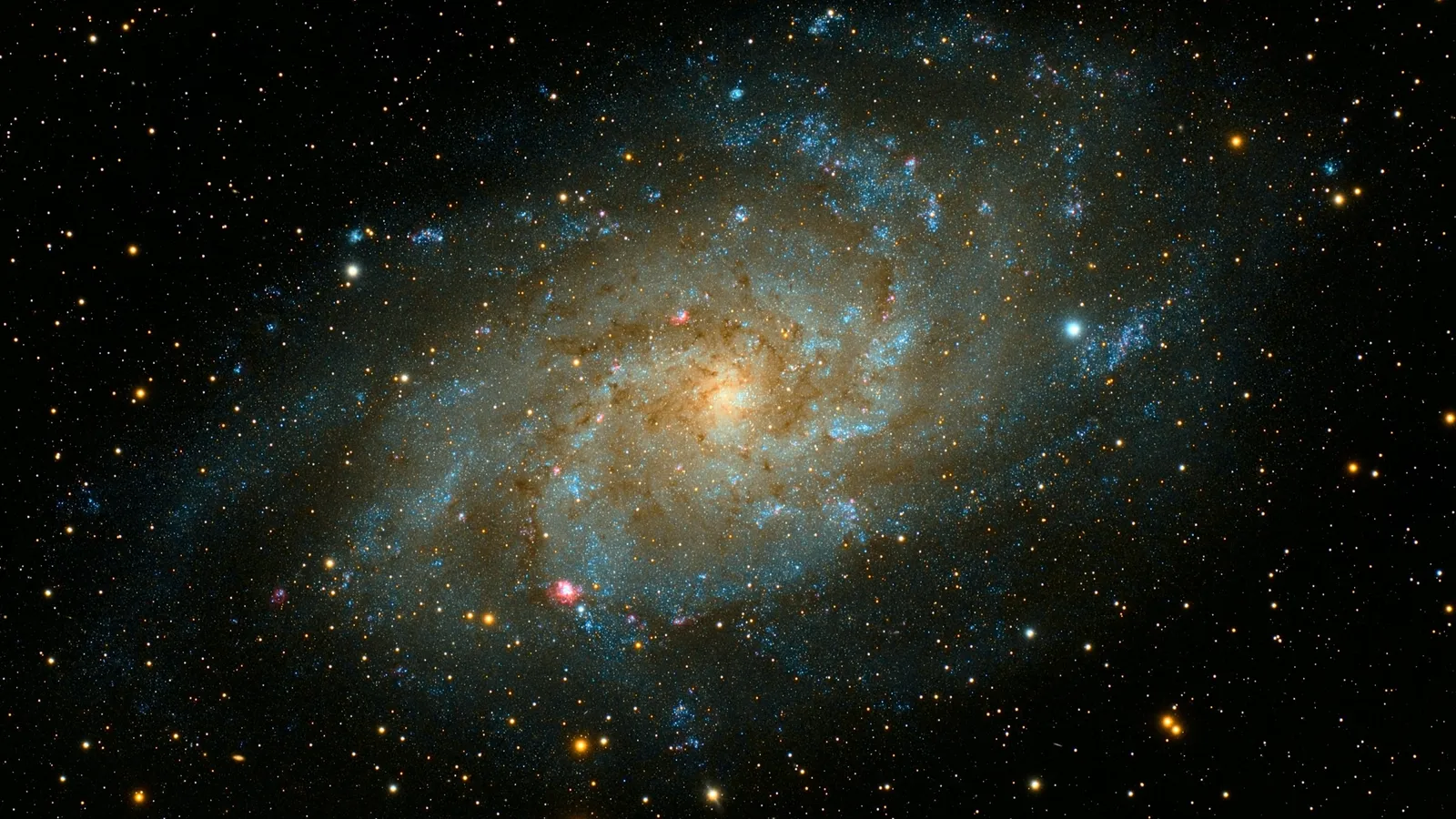 A spiral galaxy surrounded by distant stars