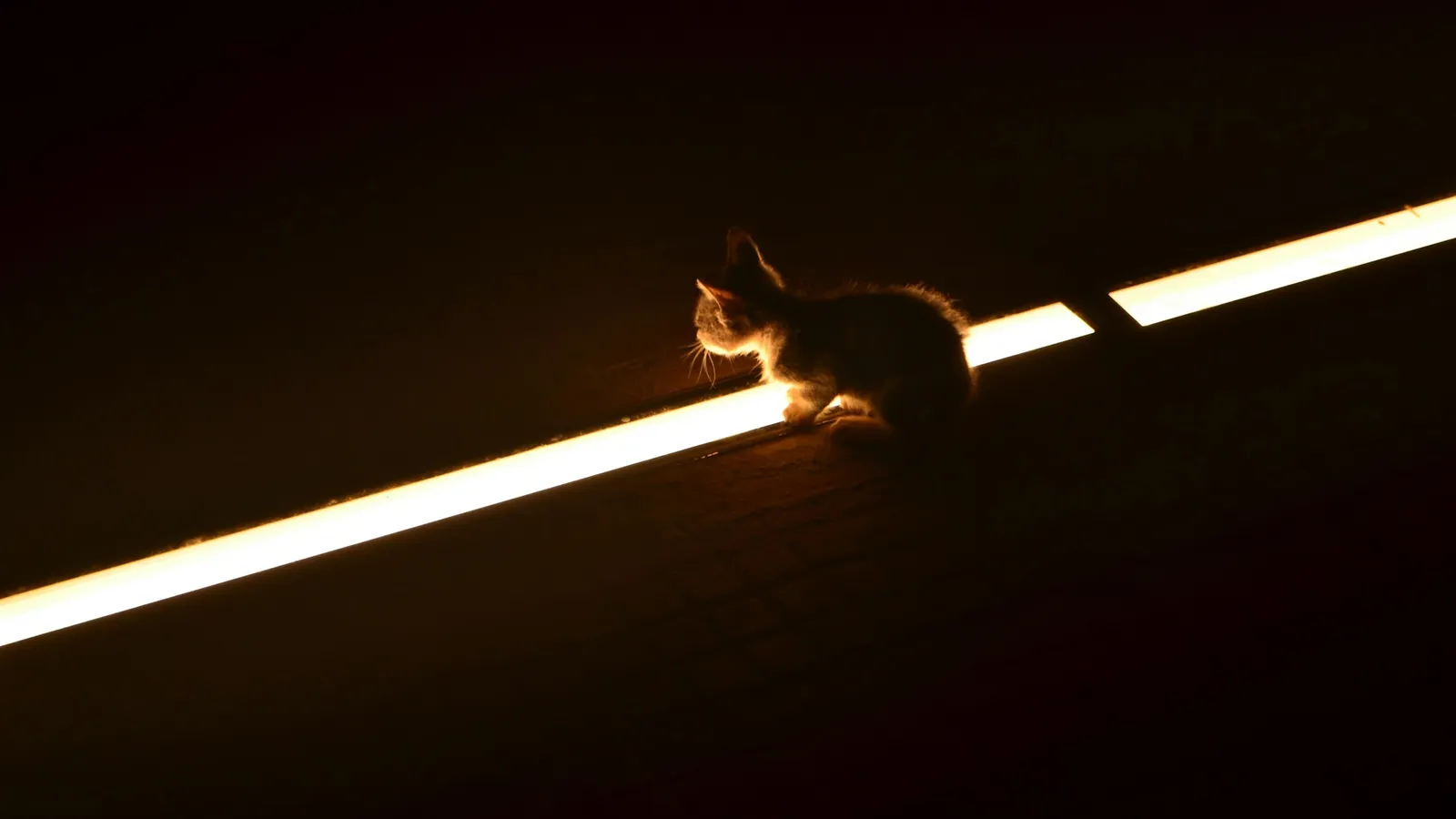 A streak of light crossing a dark space