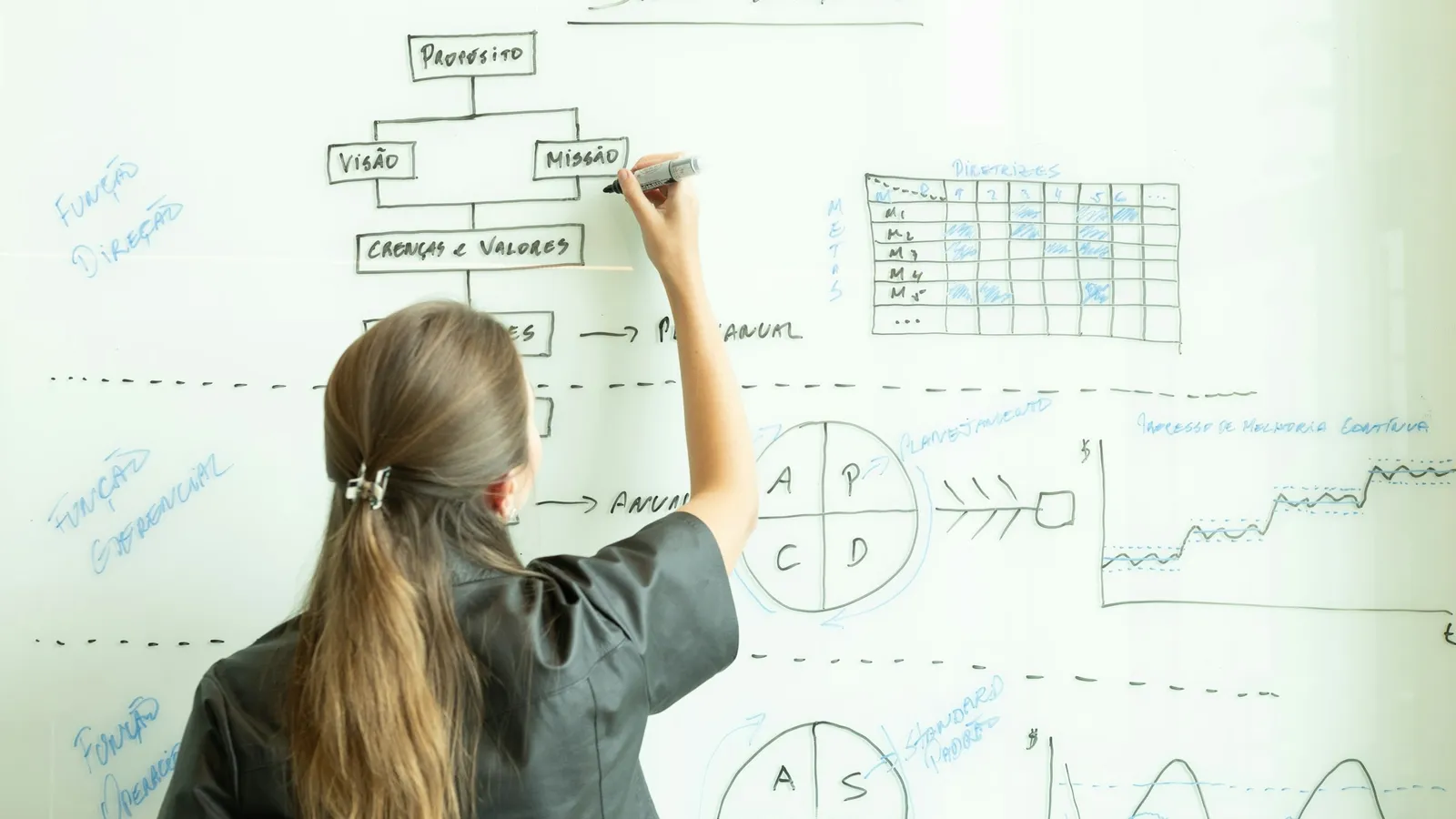 A student drawing graphs and diagrams on a whiteboard