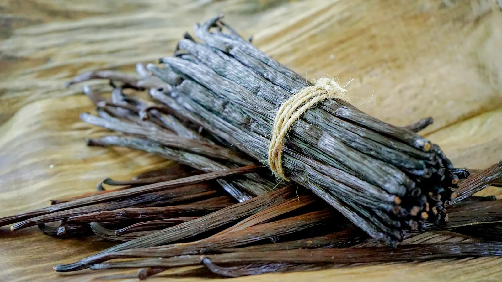 A tied bundle of dried vanilla pods