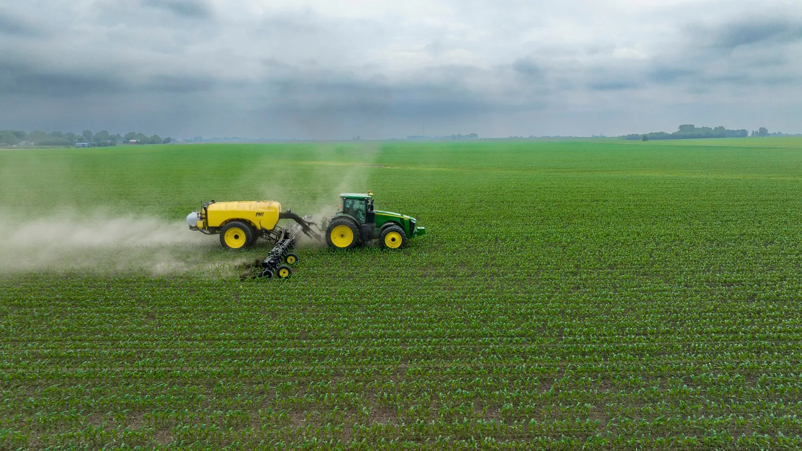 A tractor spraying a green crop field