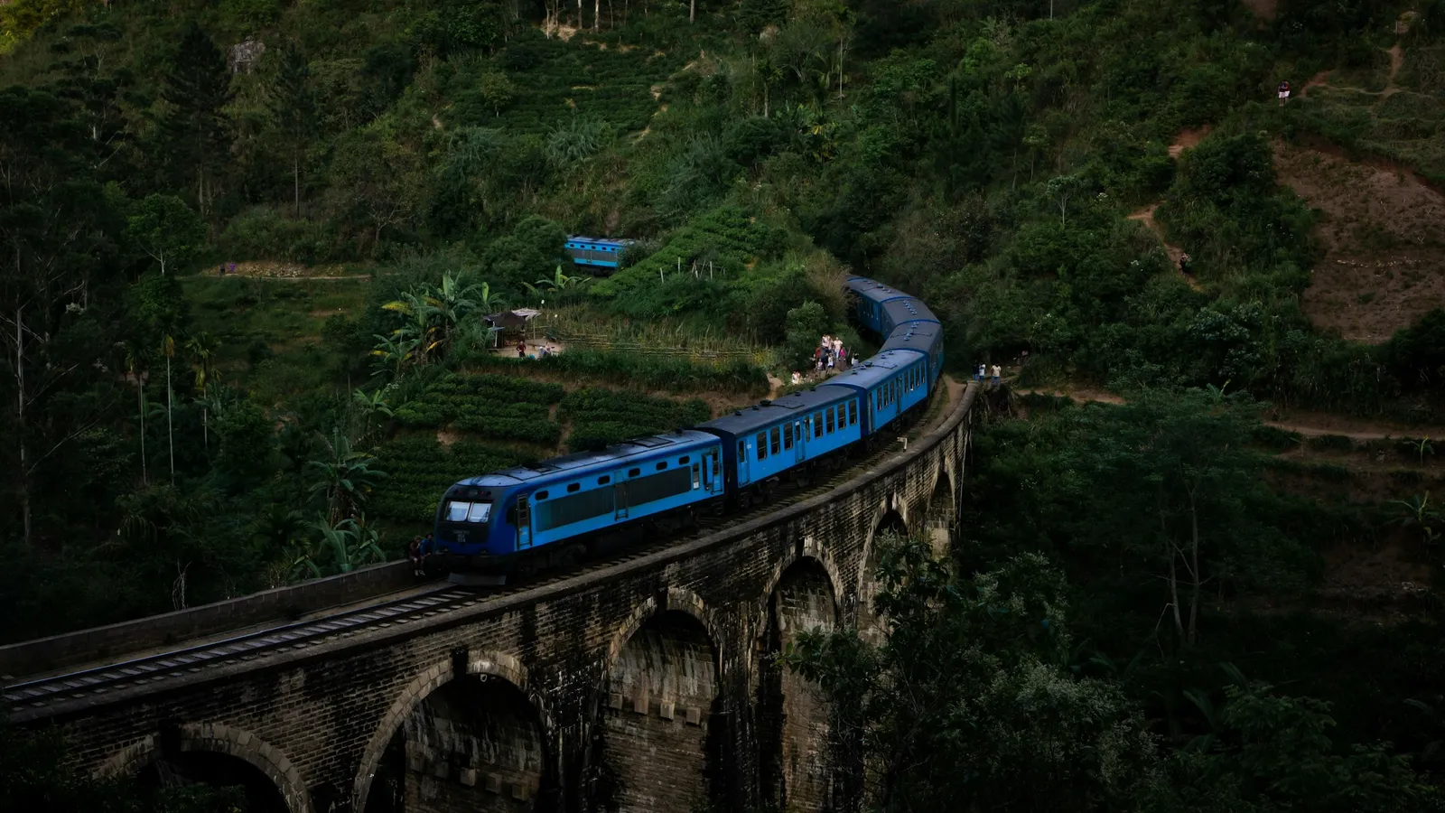 A train crossing a curved viaduct through green forest