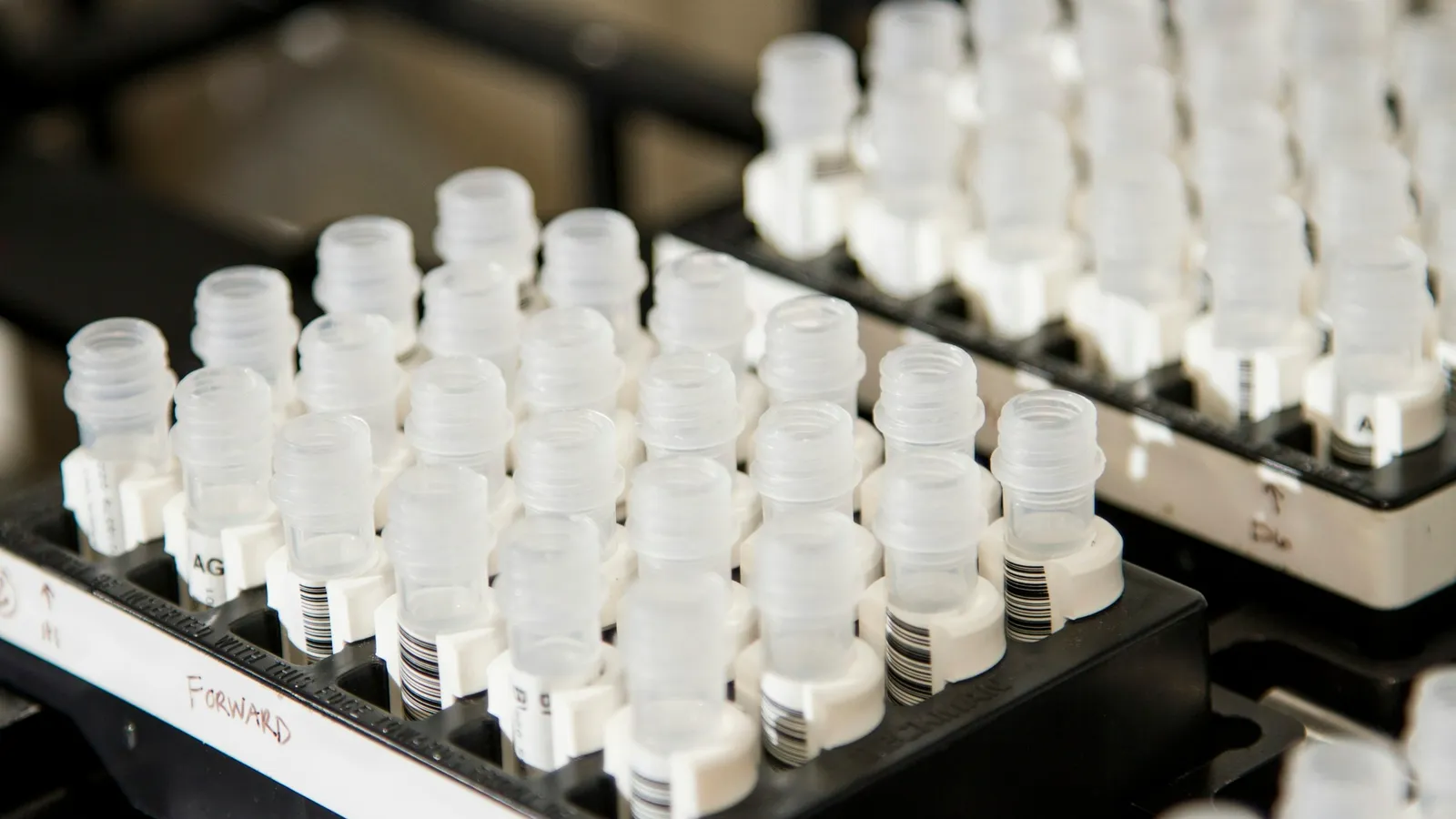 A tray of small sample vials in a lab