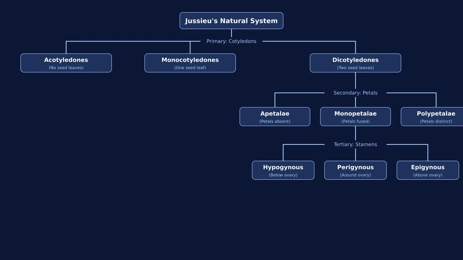 A tree diagram of Jussieu's plant classification