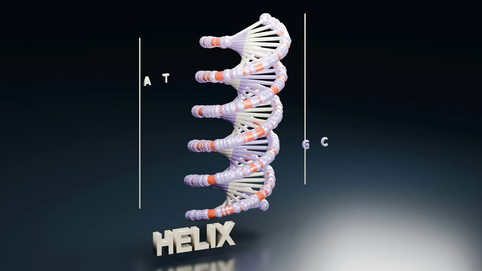 A white model of a DNA double helix lit against black