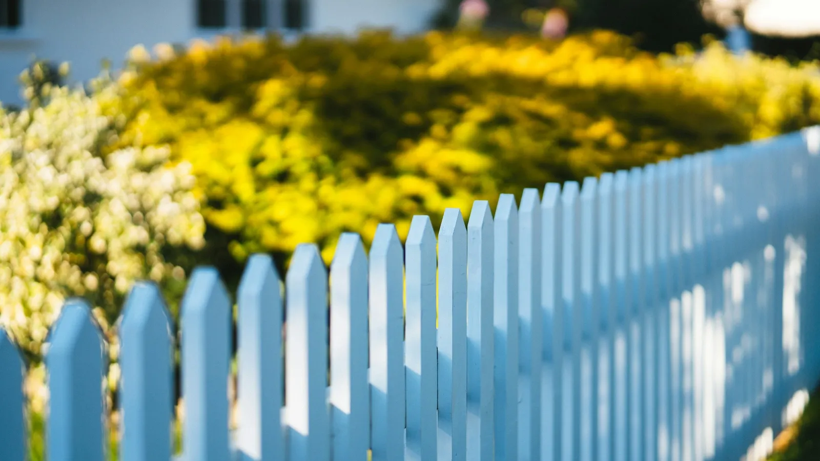 A white picket fence around a garden hedge