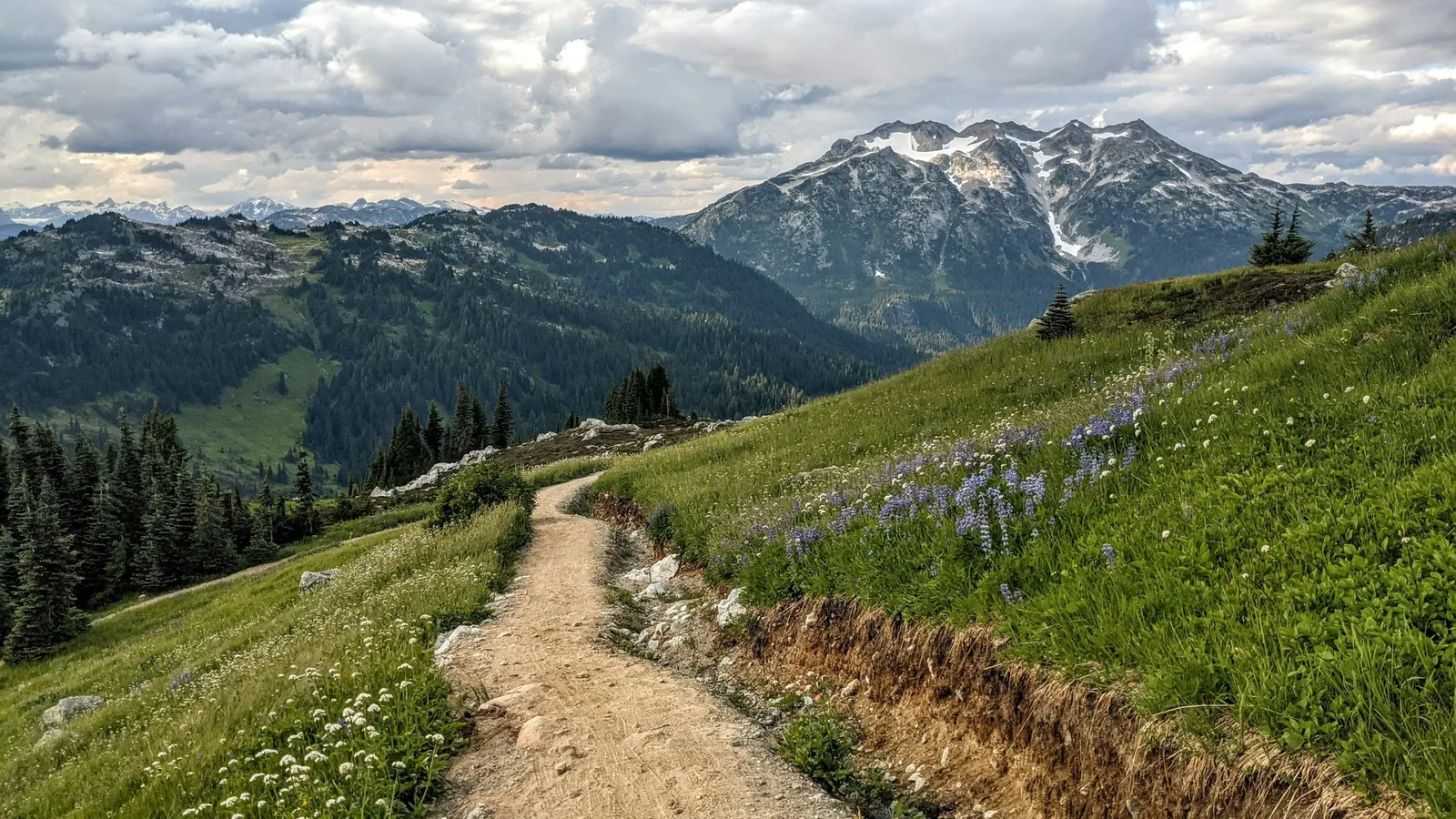 A winding mountain trail leading towards peaks