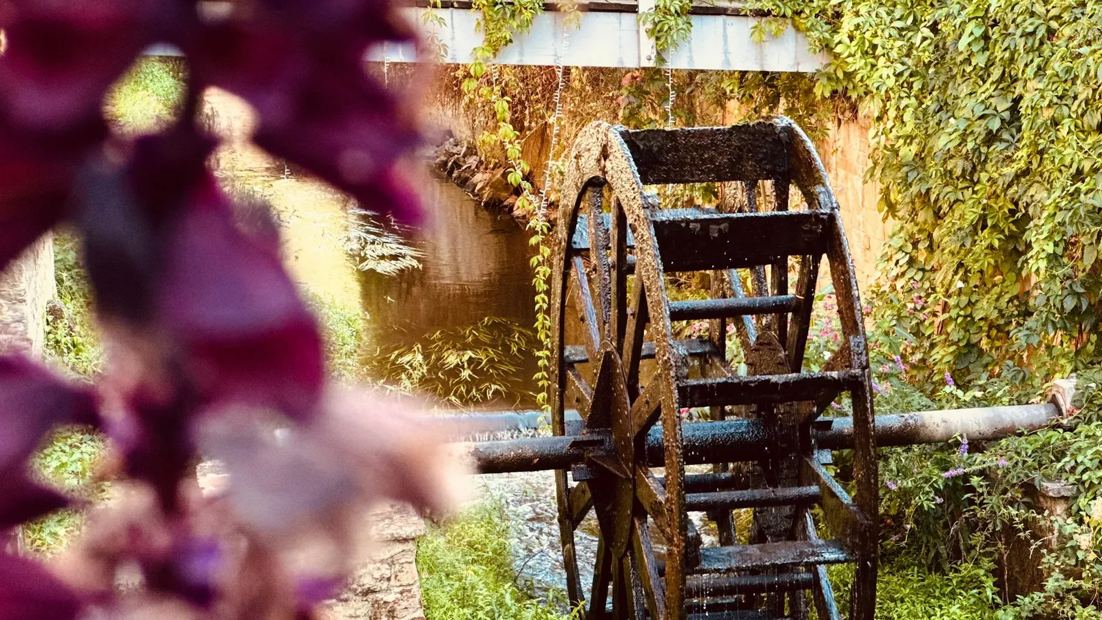 A wooden water wheel beside a stream