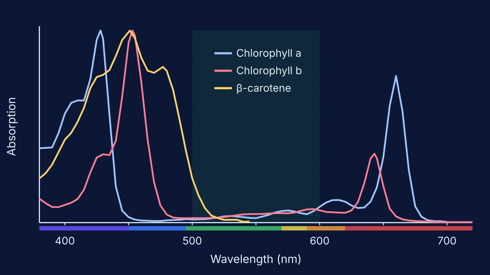 Absorption spectra of chlorophyll a, chlorophyll b and beta-carotene from 380 to 720 nm