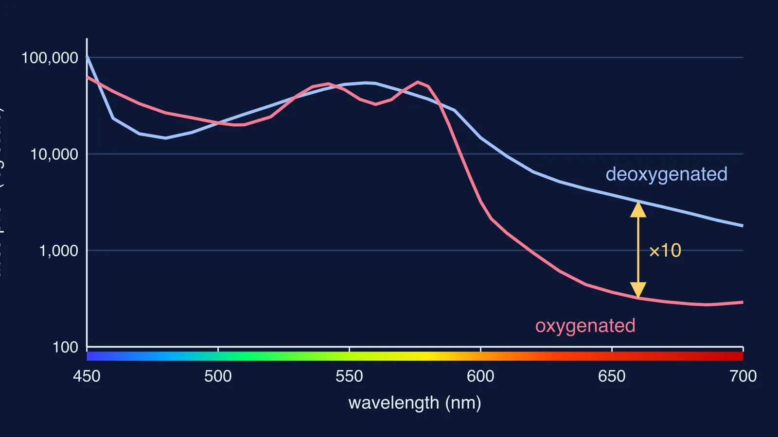 Absorption spectra of oxygenated and deoxygenated haemoglobin across visible wavelengths