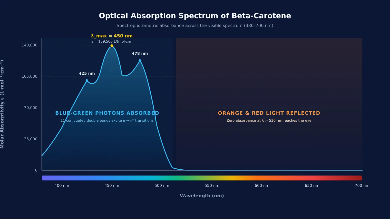 Absorption spectrum of beta-carotene showing high absorption at 450 nm and zero in orange-red.