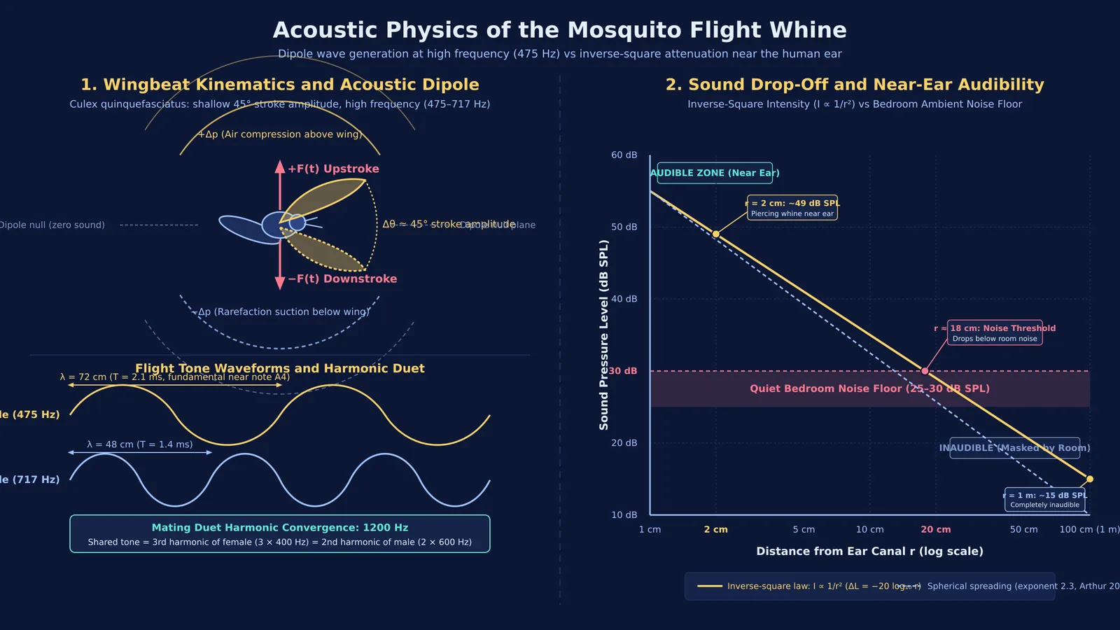 Acoustic dipole wave pattern and sound intensity drop-off curve of a flying mosquito