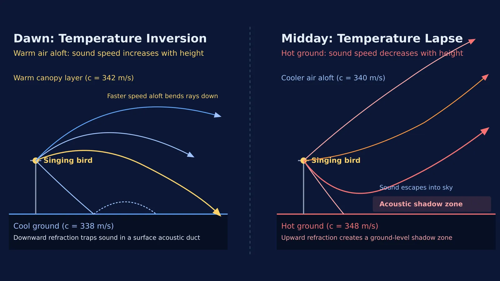 Acoustic ray paths comparing morning temperature inversion and midday upward refraction