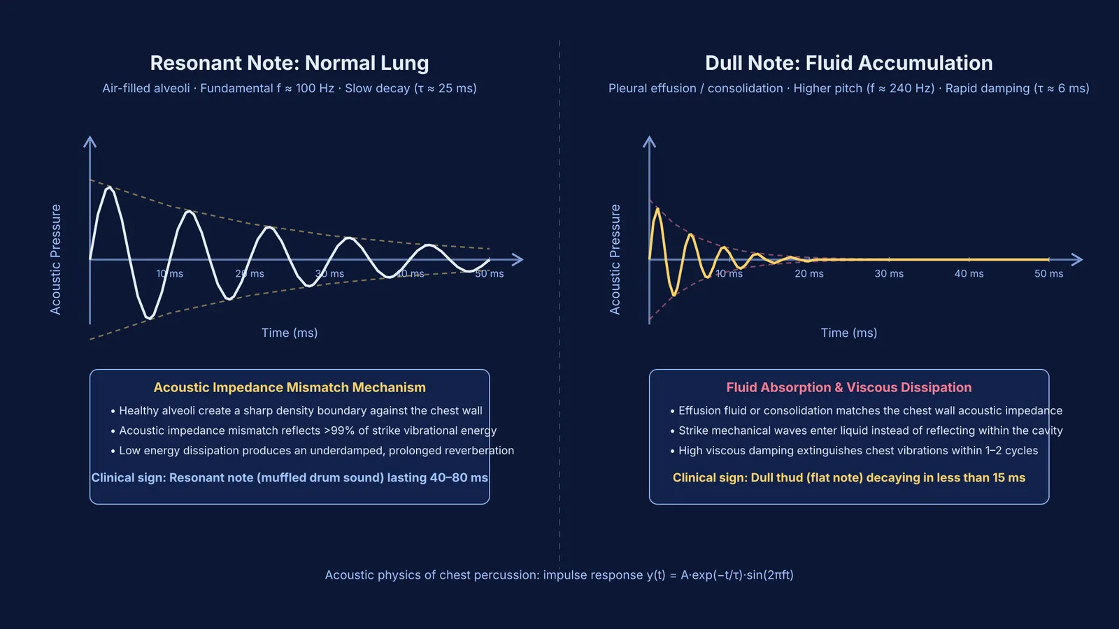 Acoustic waveforms comparing underdamped resonant chest vibrations with heavily damped fluid dullness.