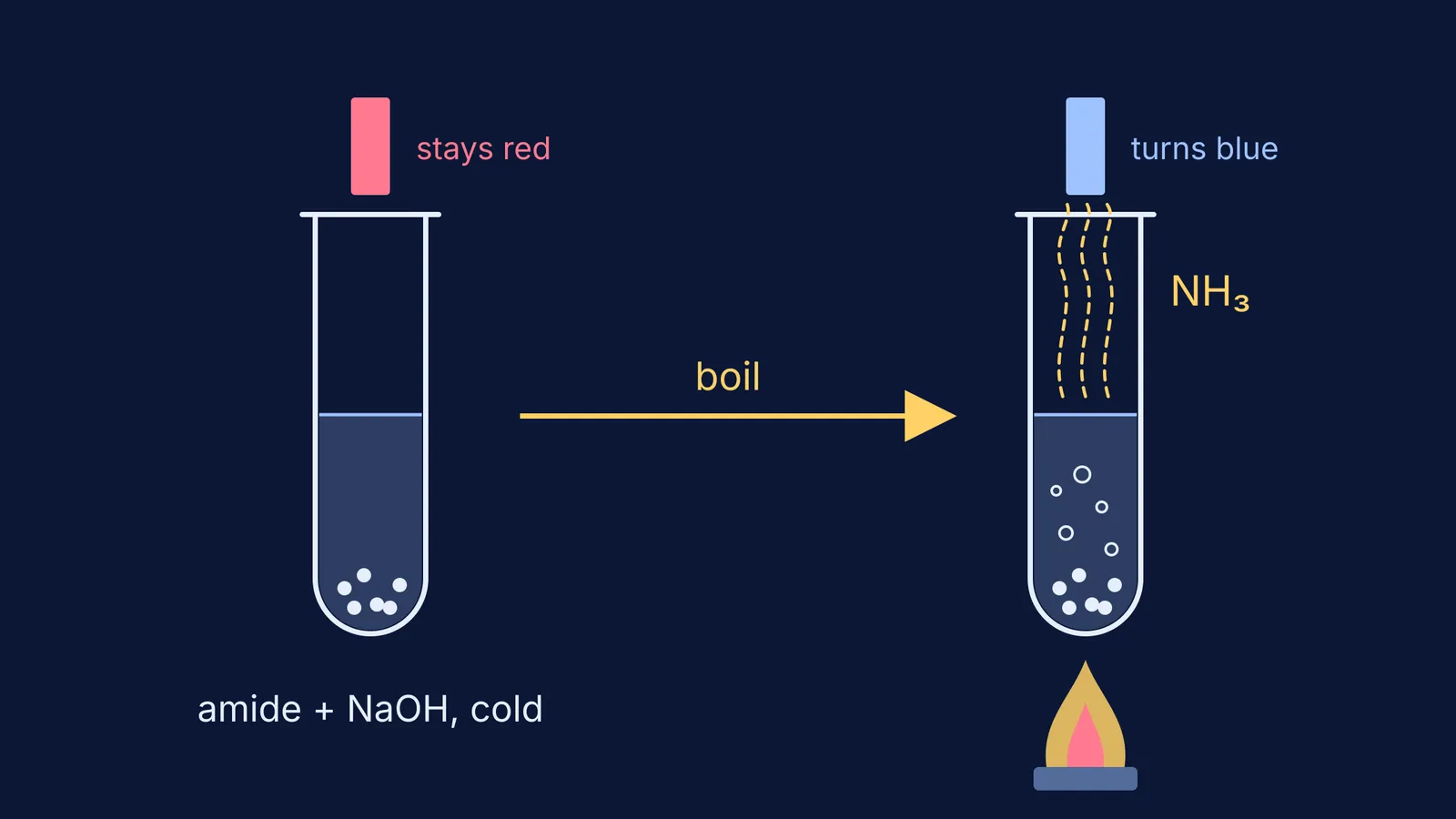 Amide with cold NaOH leaves red litmus red; boiled, ammonia turns it blue