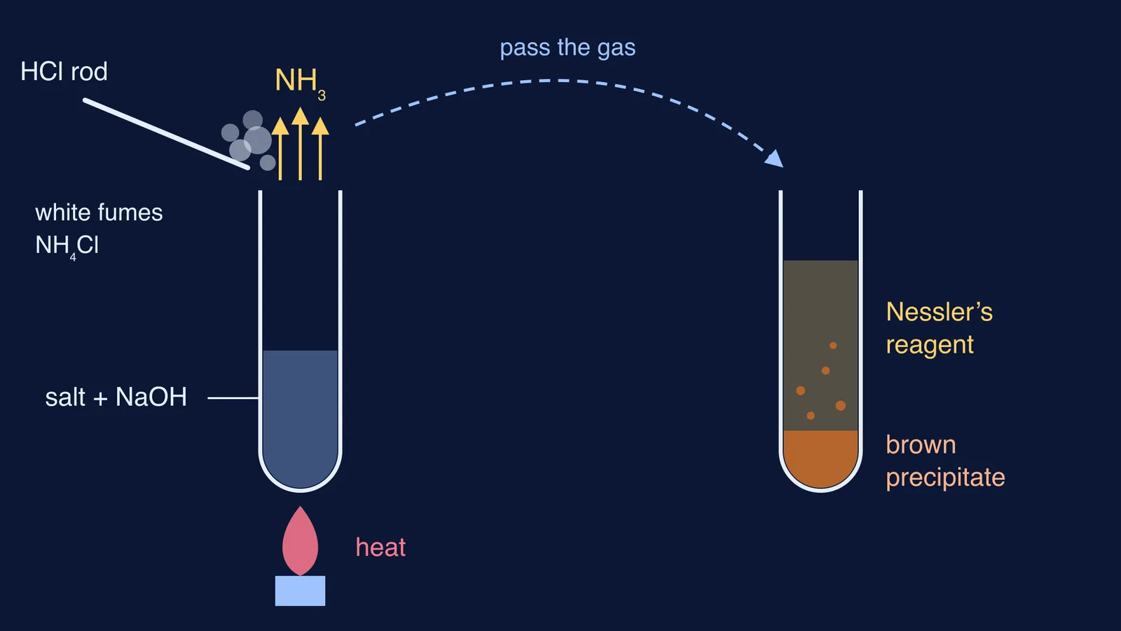 Ammonium salt heated with NaOH gives ammonia, white fumes at HCl rod, brown Nessler's precipitate