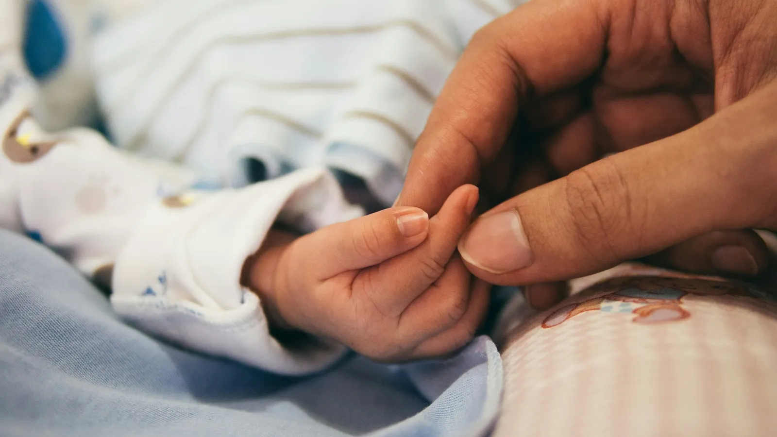 An adult hand holding a newborn baby's tiny hand