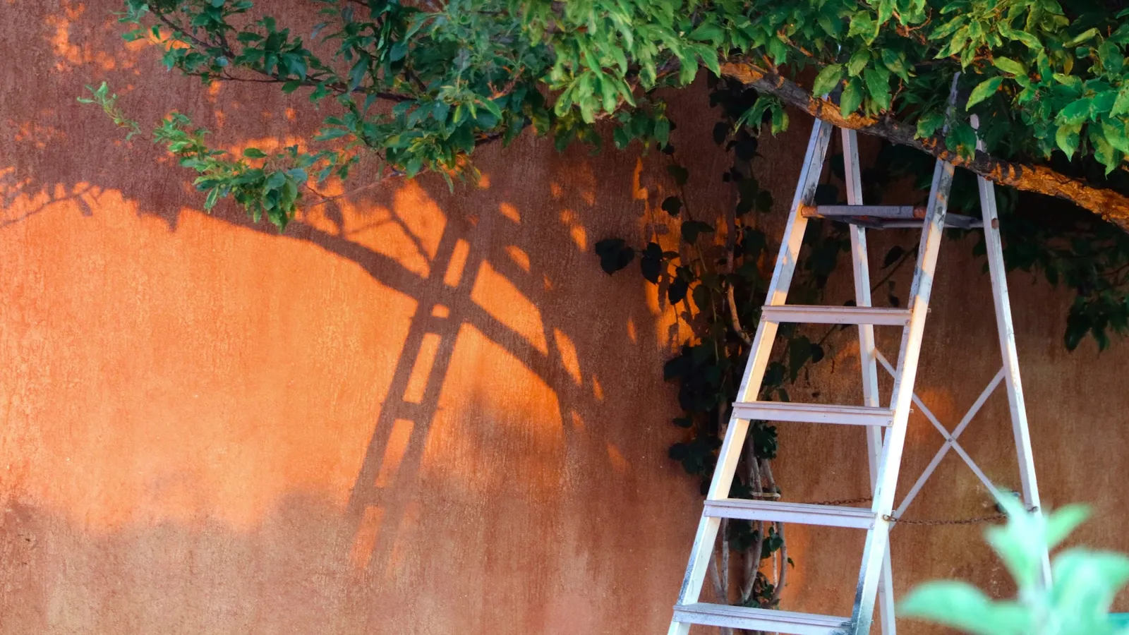 An aluminium ladder leaning against an orange wall