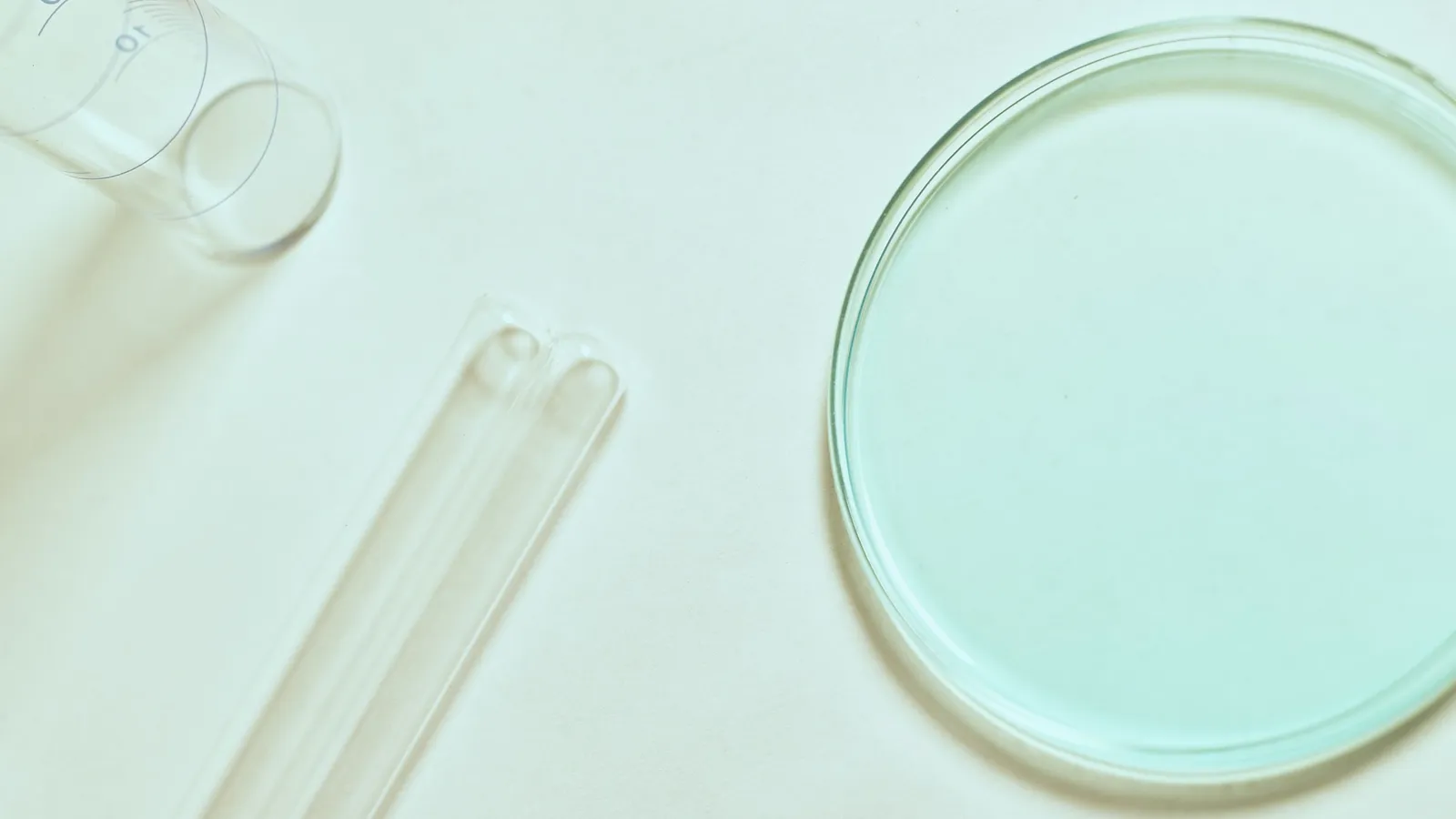 An empty glass petri dish beside a test tube