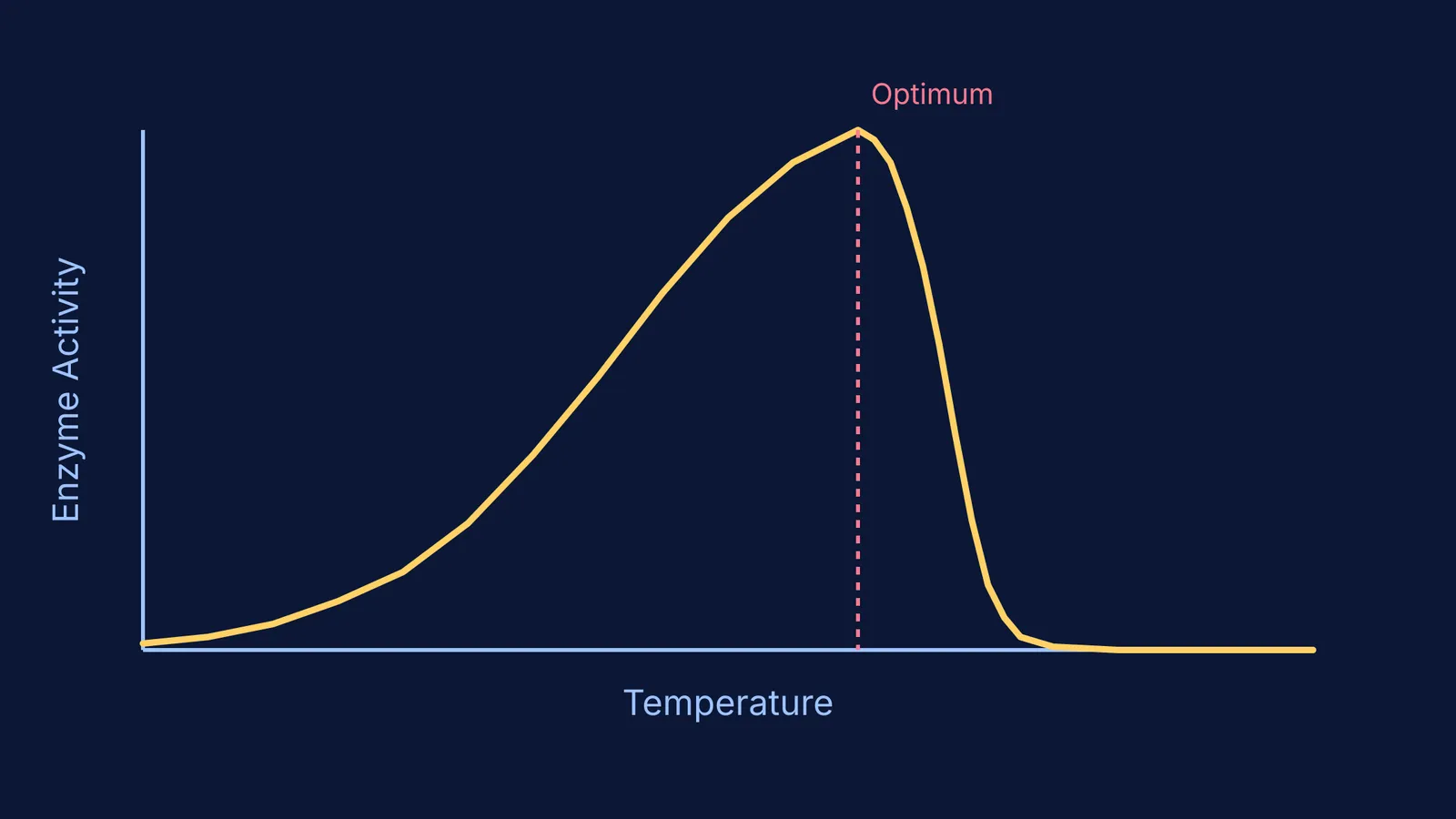 An enzyme activity graph showing a peak at optimum temperature