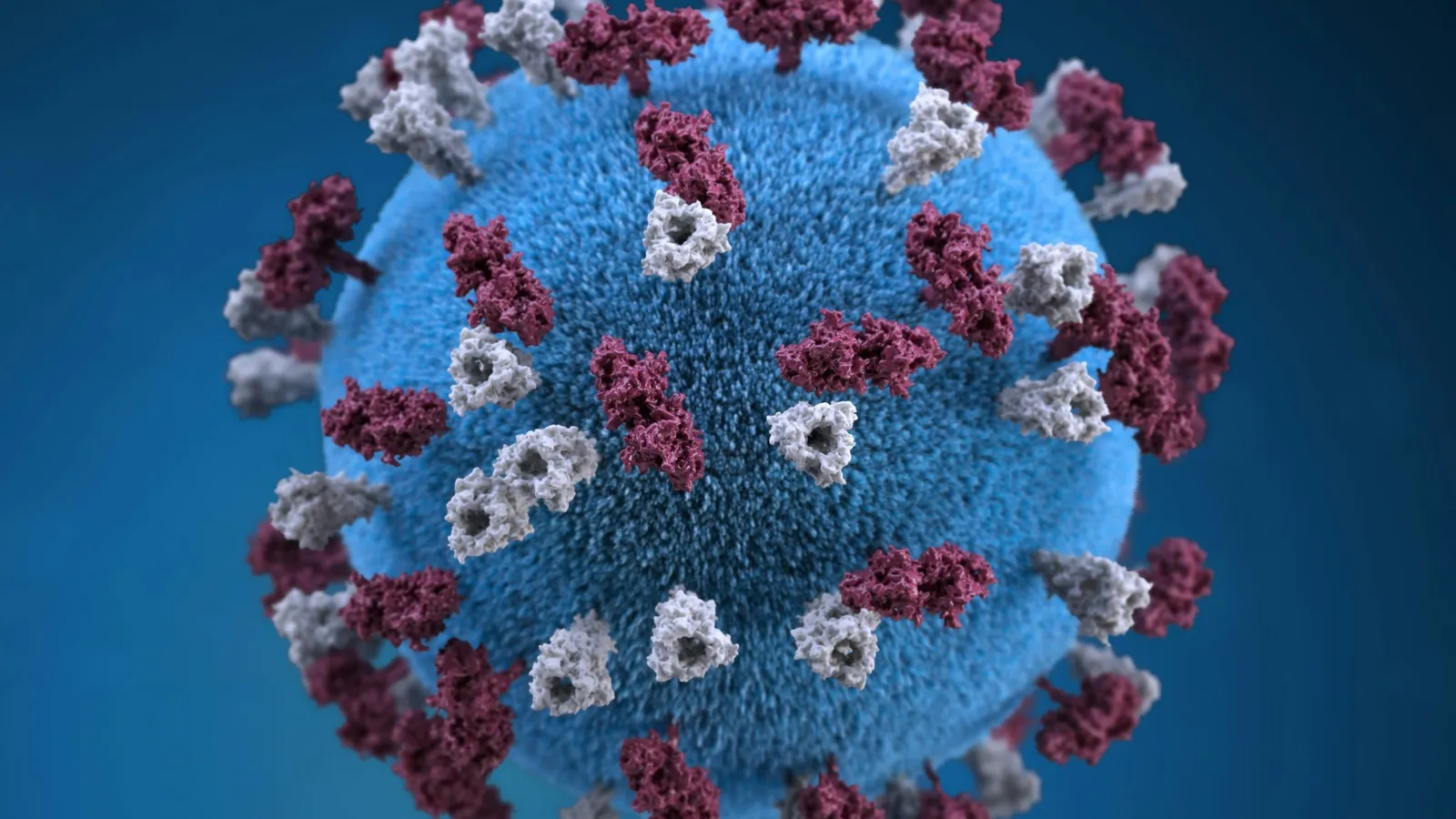 An illustration of a coronavirus particle with spikes