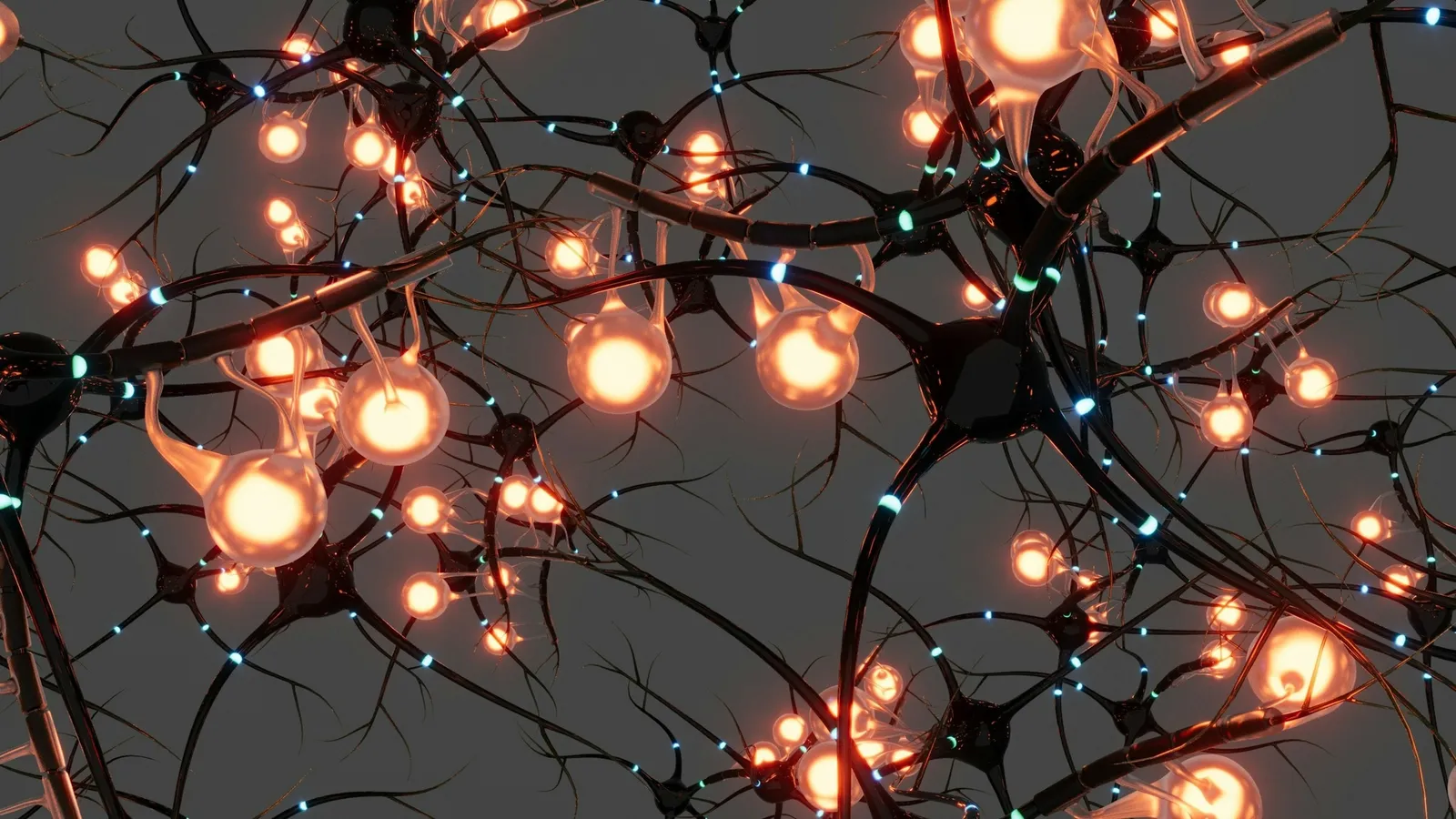 An illustration of nerve cells connected by branching fibres