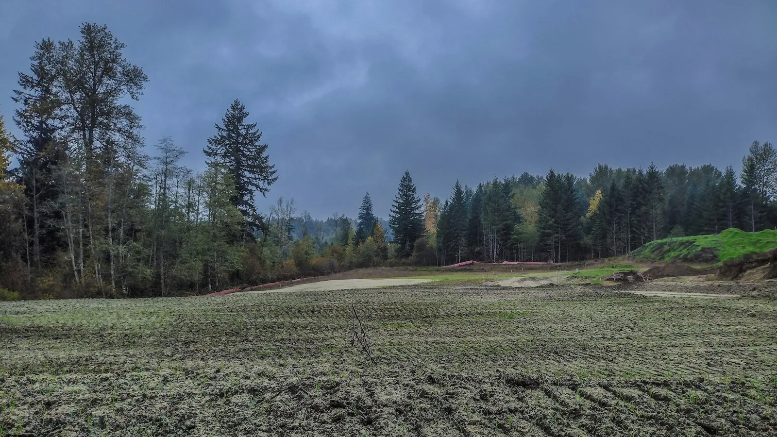 An open grassy field beside a line of trees