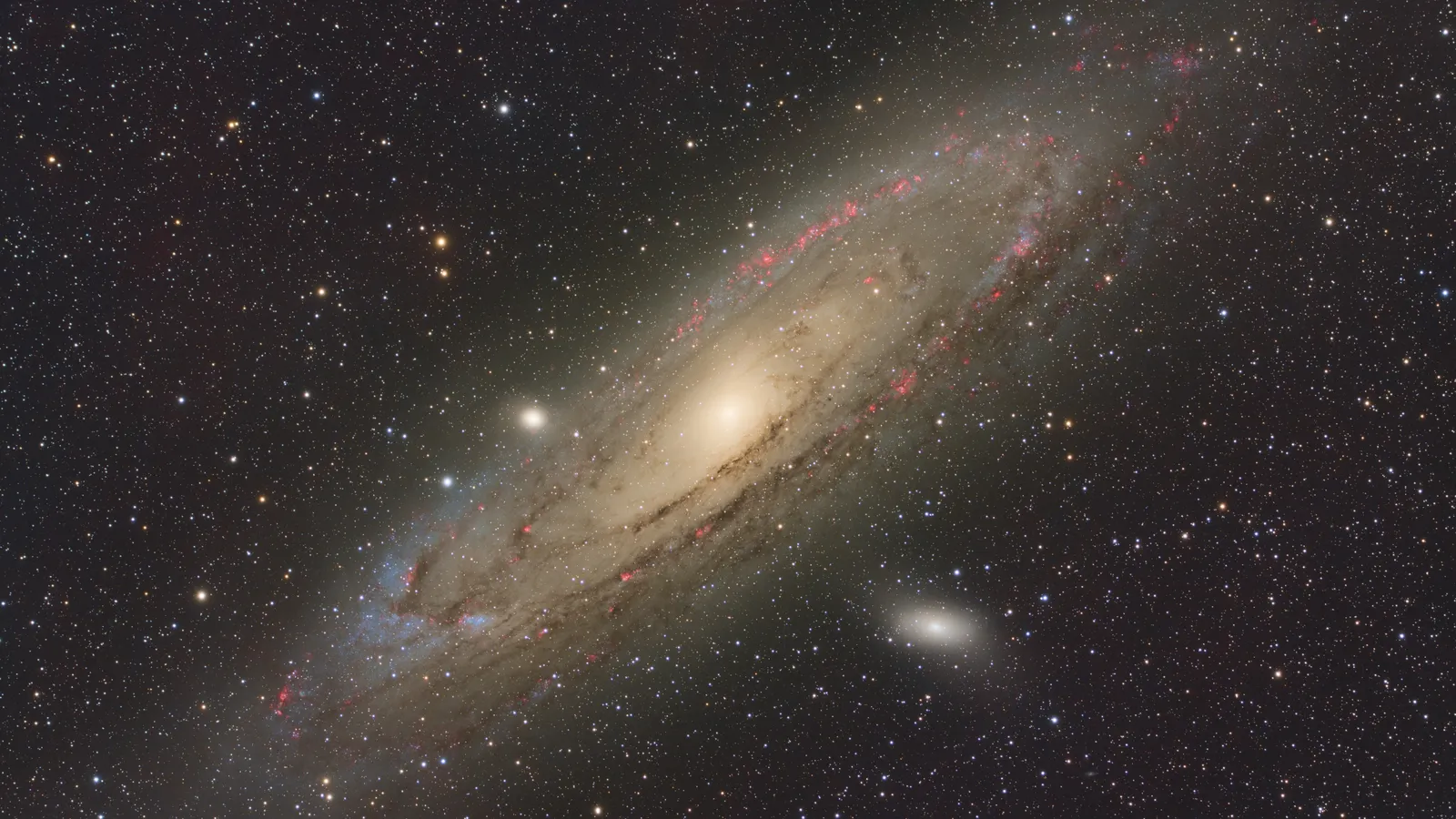 Andromeda Galaxy (M31) with its companion galaxies M32 and M110 against a dense star field
