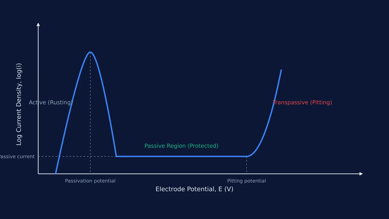 Anodic polarization curve showing the active, passive, and transpassive regions of stainless steel.