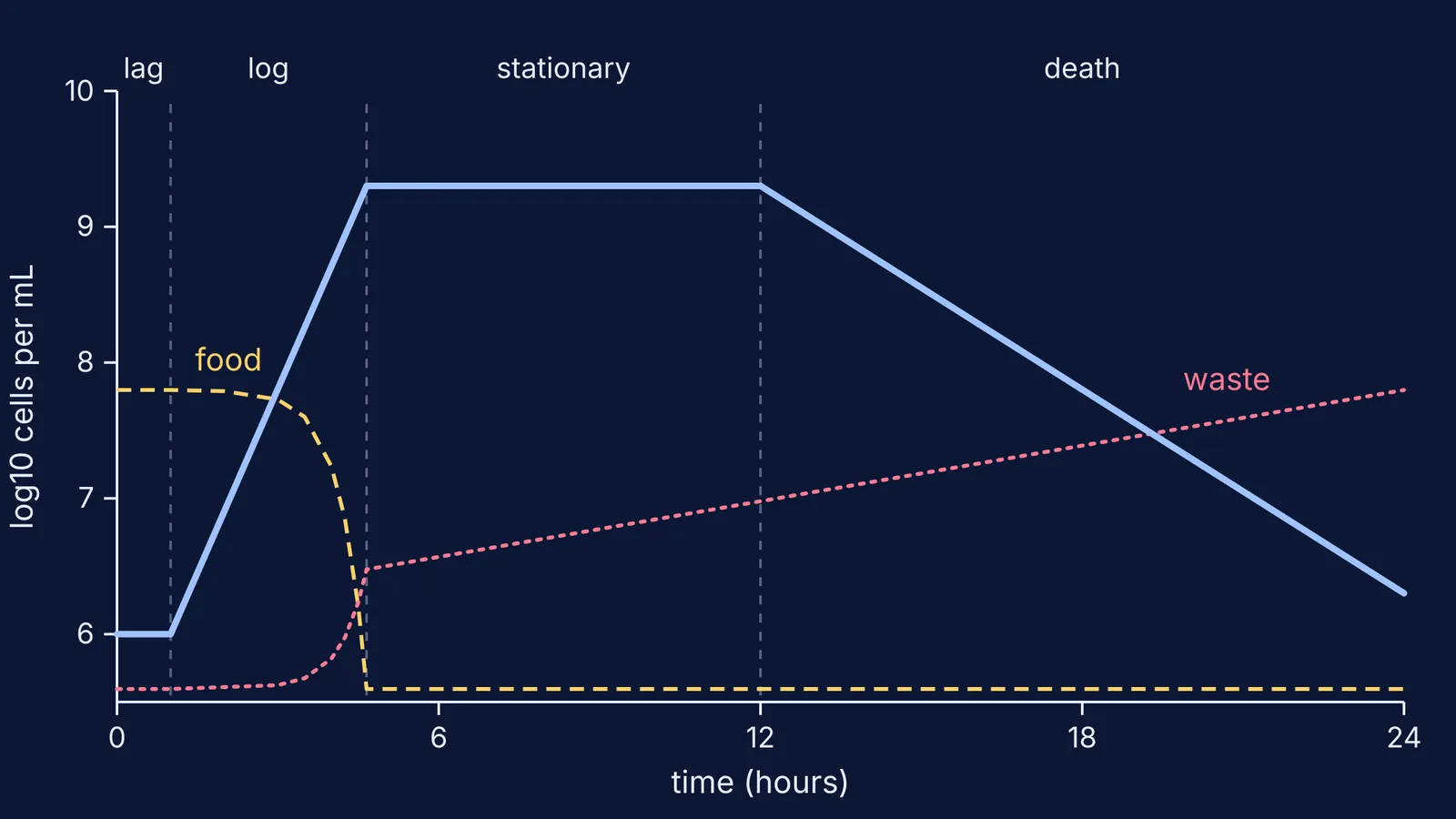 Bacterial growth curve with lag, log, stationary and death phases, plus food and waste lines