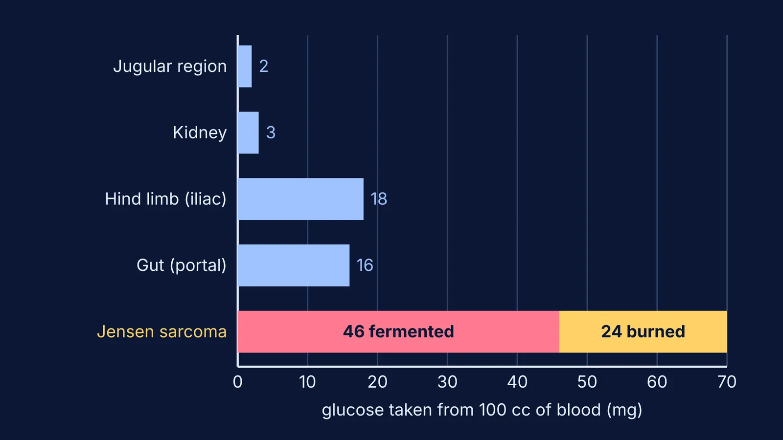 Bar chart: a rat tumour takes far more blood glucose than normal tissues
